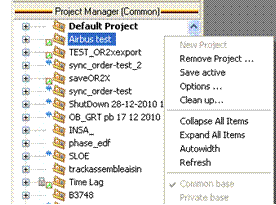 Project Manager User Pref2 55.gif