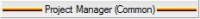 Project manager.png
