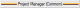Project manager.png